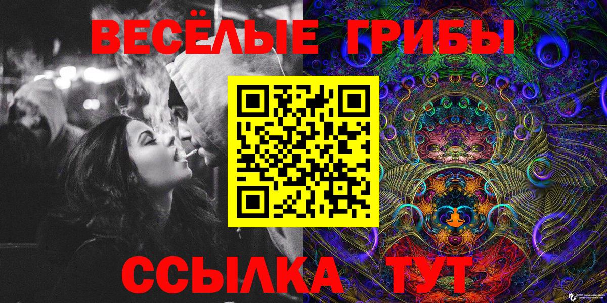 Псилоцибиновые грибы Psilocybine cubensis  Вход с VPN  Алексин 